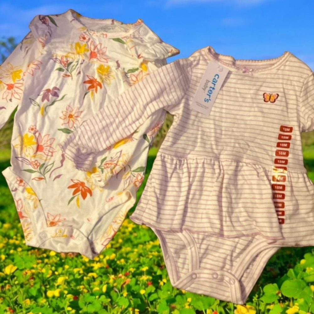 Carter's Floral and Striped Butterfly Girl Onesies Set of 2, 3-Snaps, 18 mos
